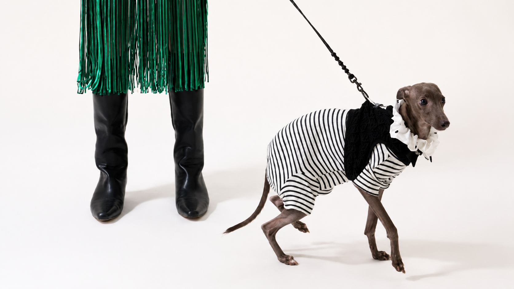 How to Create Instagram-Worthy Pet Outfits Without Sacrificing Comfort