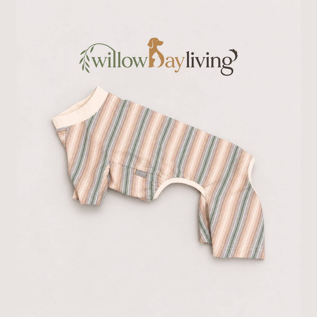 Coastal Stripe Lounge Pet Shorts