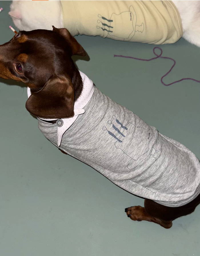 Sweet Cake Cooling Pet Vest