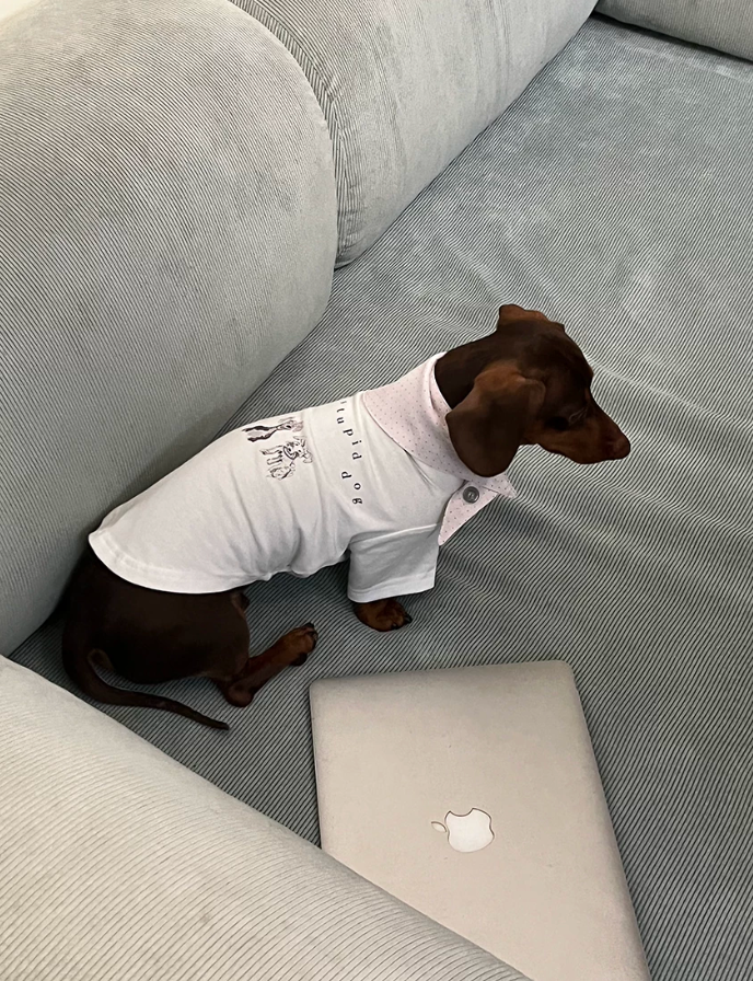 Everyday Essentials Pet Tee