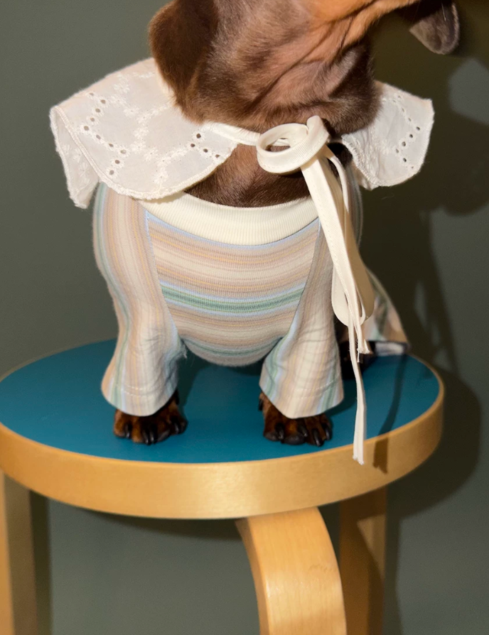 Coastal Stripe Lounge Pet Shorts