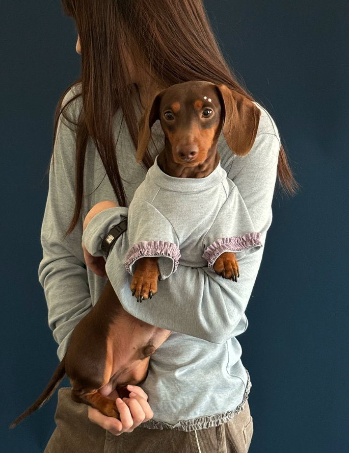 Matching Moments Family Pet Sweater Collection