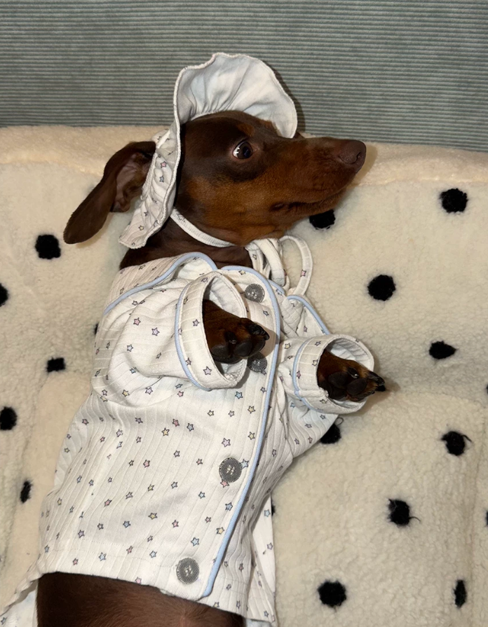 Starlight Dream Pet Pajamas