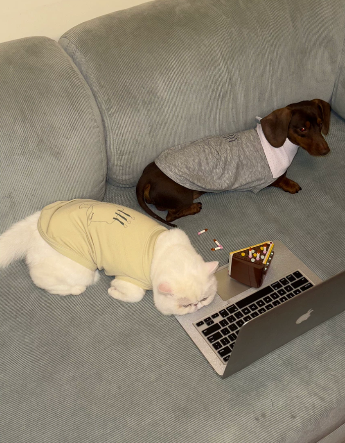 Sweet Cake Cooling Pet Vest
