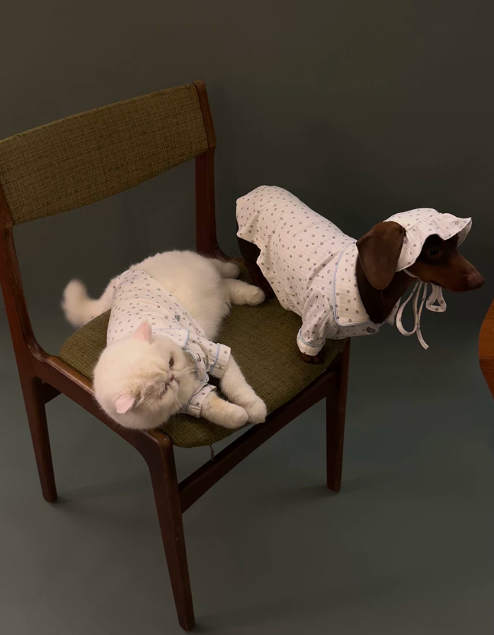 Starlight Dream Pet Pajamas