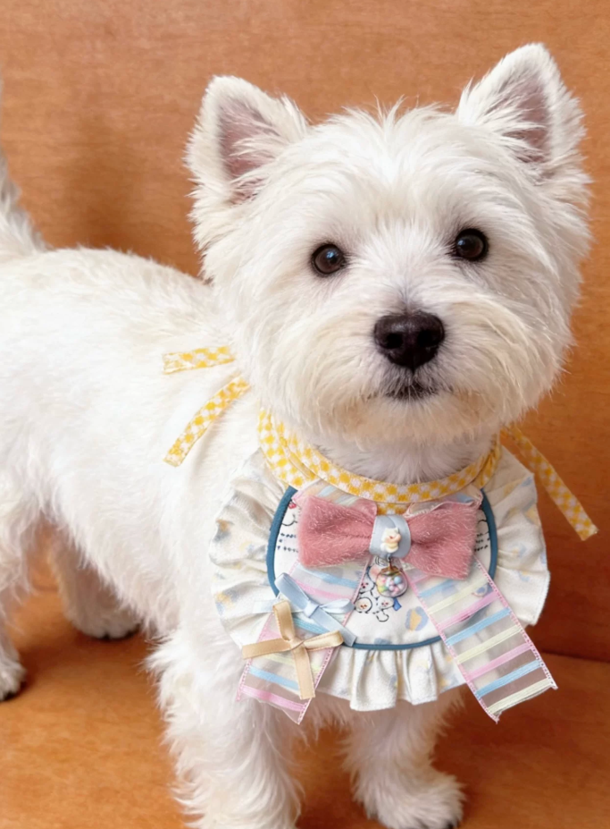 Westie Leopard Chic Bib